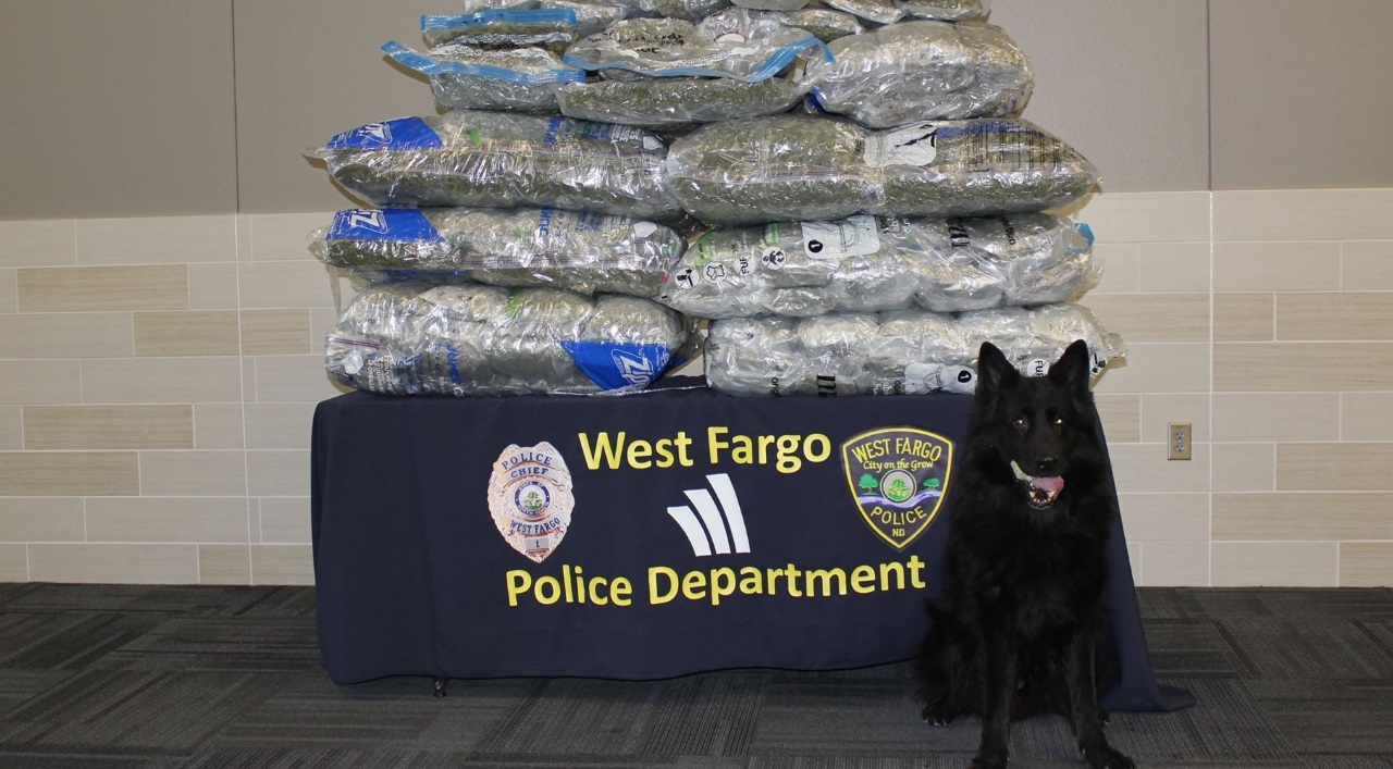 MN woman busted with 286 lbs of pot